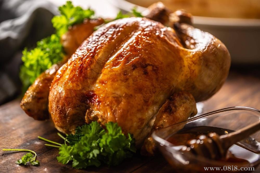 500張菜品高清照片素材（精修）