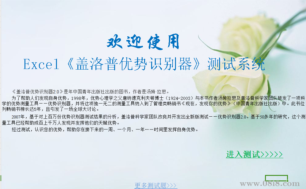 蓋洛普優勢識別器測試(完整版).rar