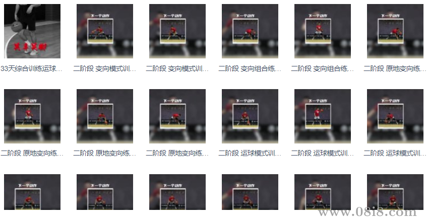 籃球教學《33天運球強化課程》