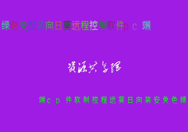 點擊放大 綠色免安裝向日葵遠程控制軟件pc端