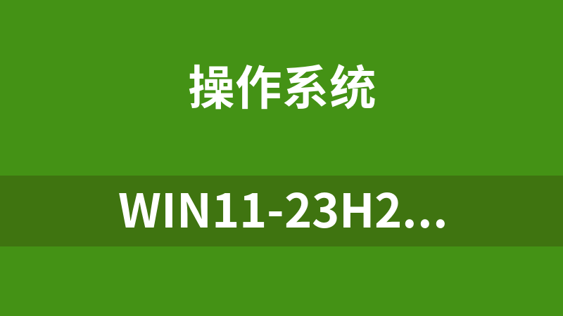 點擊放大 WIN11-23H2-11-1.iso