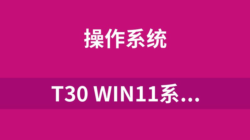 點擊放大 T30 WIN11系統 6.87G