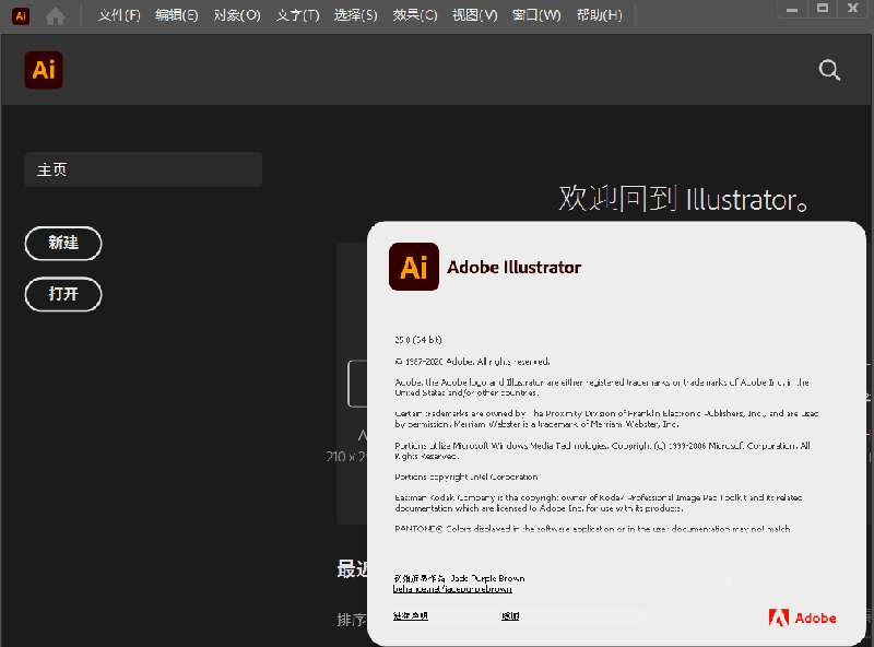點(diǎn)擊放大 Adobe Illustrator 2021(免激活A(yù)I2021)中文共享版