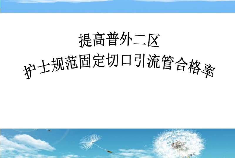 [免費]護理PDCA專案分享(規范)PPT