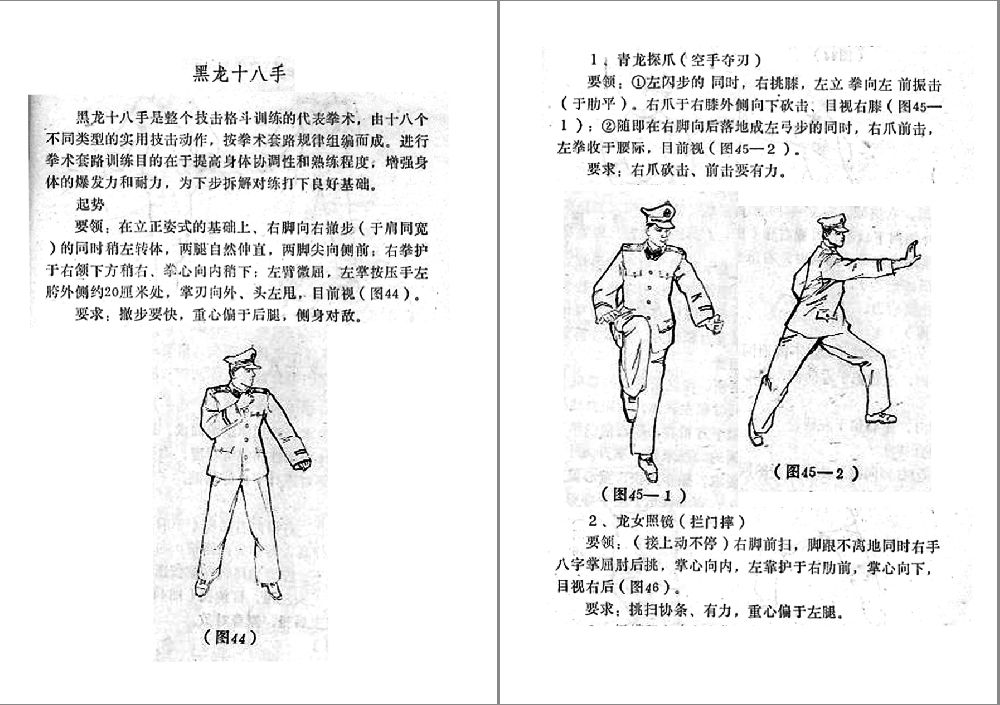 點擊放大 軍警格斗術《黑龍十八手》pdf文檔